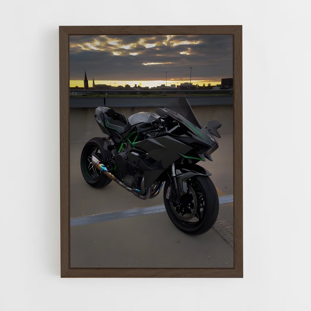 Poster Ninja h mystérieux (vue 5)